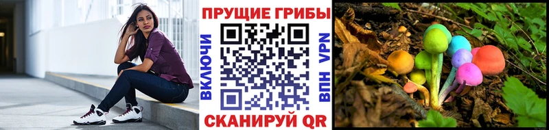 где купить Братск Галлюциногенные грибы Cubensis