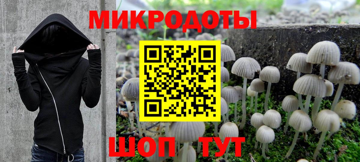 Псилоцибиновые грибы Psilocybine cubensis  Вход с VPN  Братск 
