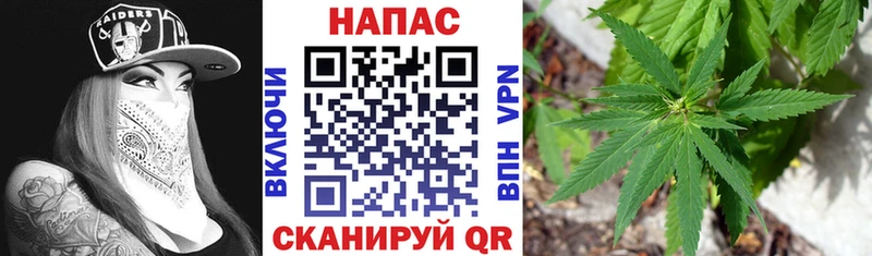 блэк спрут ТОР  Братск  МАРИХУАНА THC 21% 